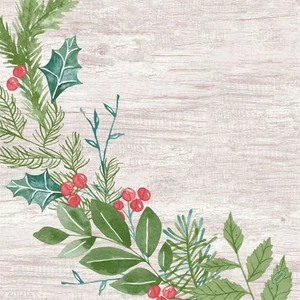 Bio-Dunisoft szalvéta Winter Greenery 40x40cm 12x12db/gyűjtő
