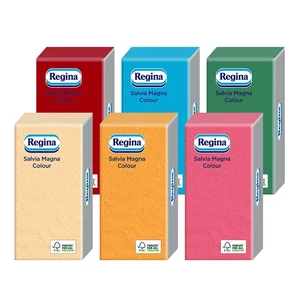 Regina Salvia Magna Color kevert szalvéta 1 rétegű 38x38cm 1/8 24x30db/gyűjtő