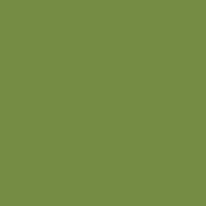 Duni tissue szalvéta leaf green 3 rétegű 33x33cm 12x20db/karton