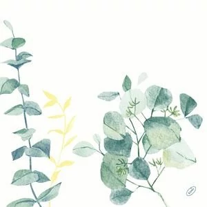 Dunisoft szalvéta Spire 40x40cm 12x60db/gyűjtő