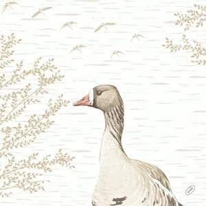 Bio-Dunisoft szalvéta Wood and Goose 40x40cm 6x60db/gyűjtő