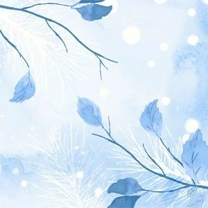 Dunisoft szalvéta Frosted Winter 40x40cm 6x60db/gyűjtő