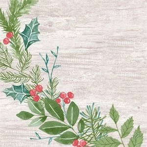 Dunisoft szalvéta Winter Greenery 40x40cm 6x60db/gyűjtő