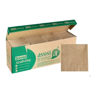 Trend öko szalvéta 2rtg 25x25cm 800db/gyűjtő
