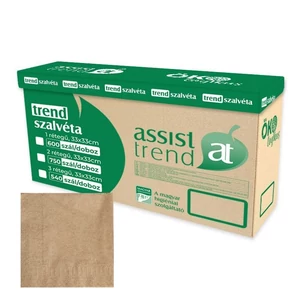 Trend öko szalvéta 2 rétegű 33x33cm 750db/gyűjtő