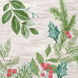 Duni szalvéta Winter Greenery 3rtg 33x33cm 10x50db/gyűjtő