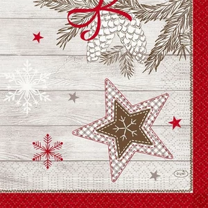 Duni szalvéta Cozy Winter 3rtg 33x33cm 4x250db/gyűjtő