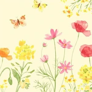 Duni classic szalvéta Poppy Field 4rtg 40x40cm 6x50db/gyűjtő