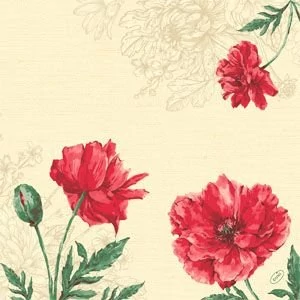 Duni classic szalvéta Monique 4rtg 40x40cm 6x50db/gyűjtő