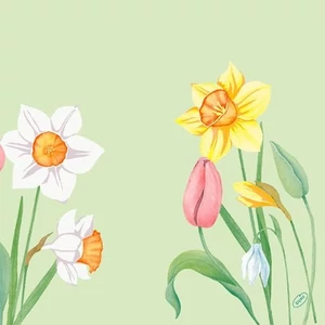 Duni classic szalvéta Spring Melody 4rtg 40x40cm 6x50db/gyűjtő