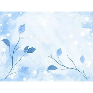 Dunicel alátét Frosted Winter 30x40cm 5x100db/gyűjtő