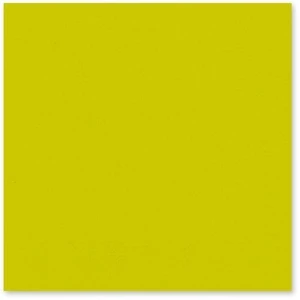 Duni szalvéta Kiwi 3 rétegű 40x40cm 4x250db/gyűjtő