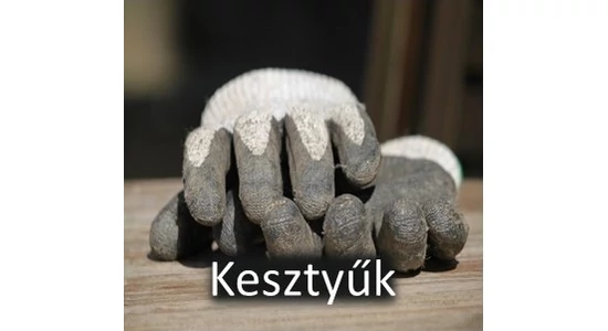 Kesztyűk
