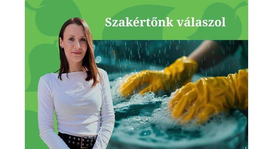 A kézi mosogatás aranyszabályai a professzionális higiéniában