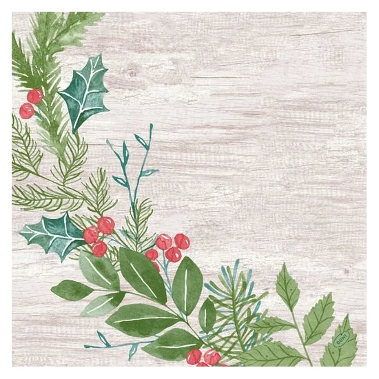 Bio-Dunisoft szalvéta Winter Greenery 40x40cm 12x12db/gyűjtő