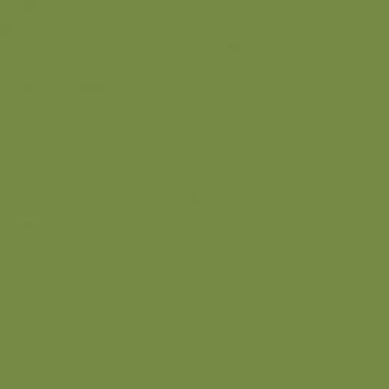 Duni szalvéta Leaf green 3 rétegű 40x40cm 6x50db/gyűjtő