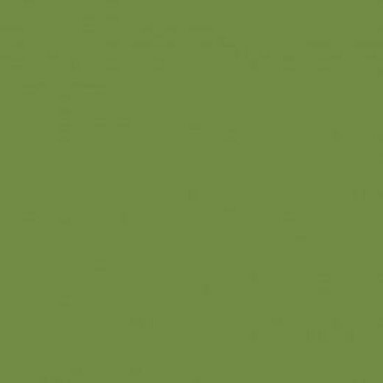 Duni szalvéta Leaf green 3 rétegű 40x40cm 6x50db/gyűjtő