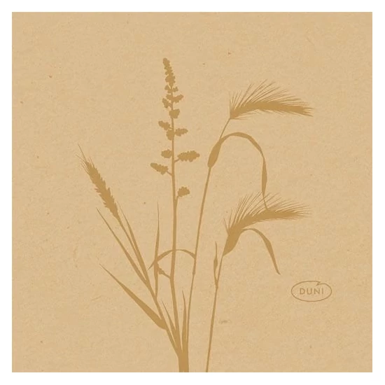 Bio-Dunisoft szalvéta Meadow Natural 20x20cm 16x180db/gyűjtő