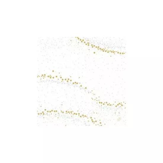 Dunisoft szalvéta Golden Stardust White 40x40cm 6x60db/gyűjtő
