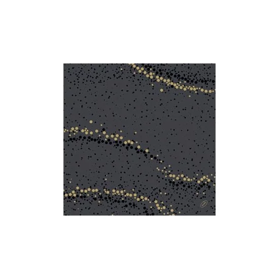 Dunisoft szalvéta Golden Stardust Black 40x40cm 6x60db/gyűjtő