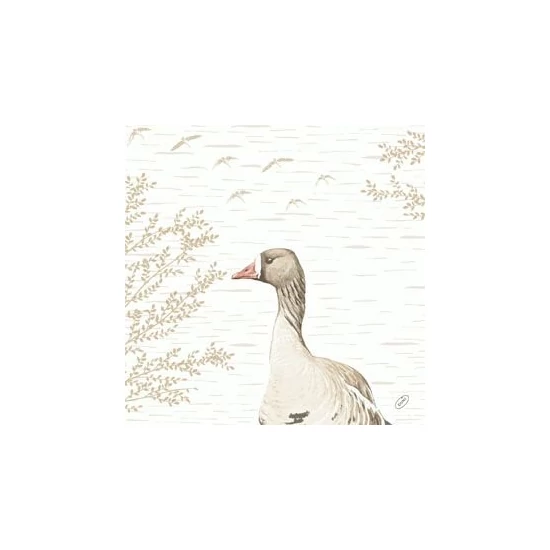 Bio-Dunisoft szalvéta Wood and Goose 40x40cm 6x60db/gyűjtő