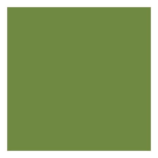 Duni szalvéta Leaf green 4 rétegű 40x40cm 6x50db/gyűjtő