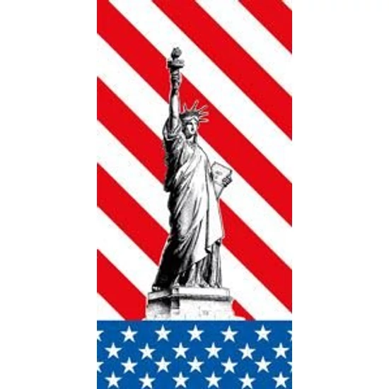Duni szalvéta USA 2rtg 40x40cm 1/8 4x300db/gyűjtő