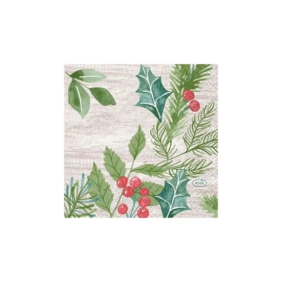 Duni szalvéta Winter Greenery 3rtg 24x24cm 20x50db/gyűjtő