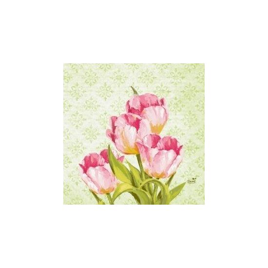Duni szalvéta Love tulips 3 rétegű 33x33cm 10x50db/gyűjtő
