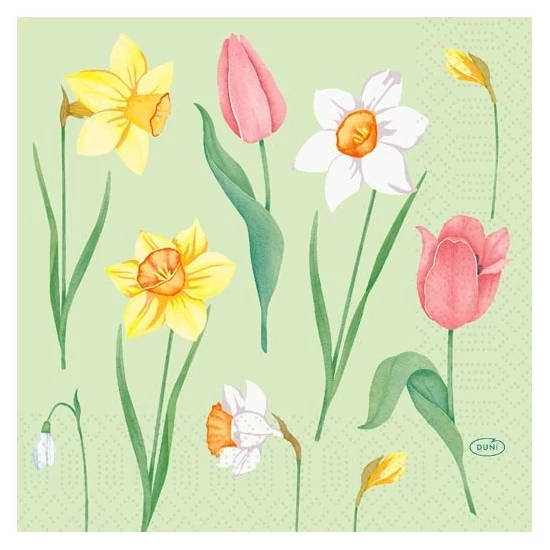 Duni szalvéta Spring Melody 3rtg 33x33cm 4x250db/gyűjtő