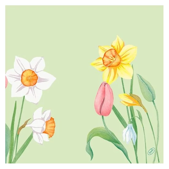 Duni classic szalvéta Spring Melody 4rtg 40x40cm 6x50db/gyűjtő