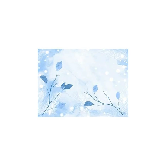 Dunicel alátét Frosted Winter 30x40cm 5x100db/gyűjtő